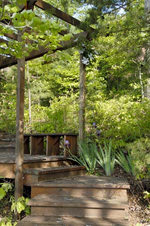 Arbor on stairs to Cabin 2