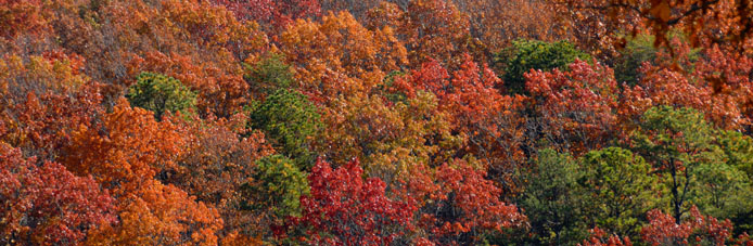 Fall color around Smith Mountain Lake